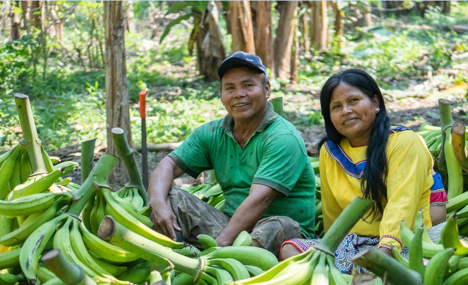 Amazonía indígena: derechos y recursos
