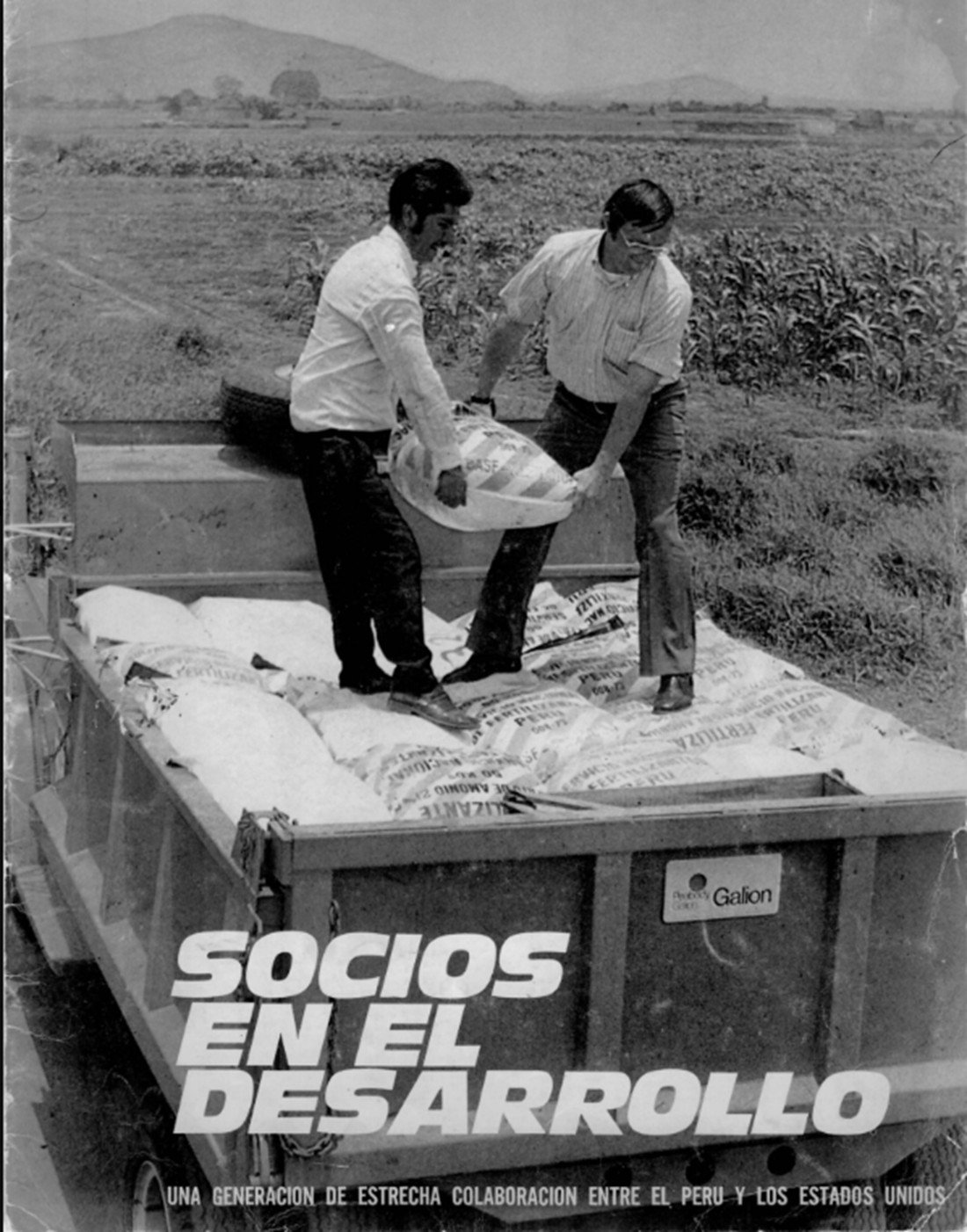 Resúmenes de logros programáticos