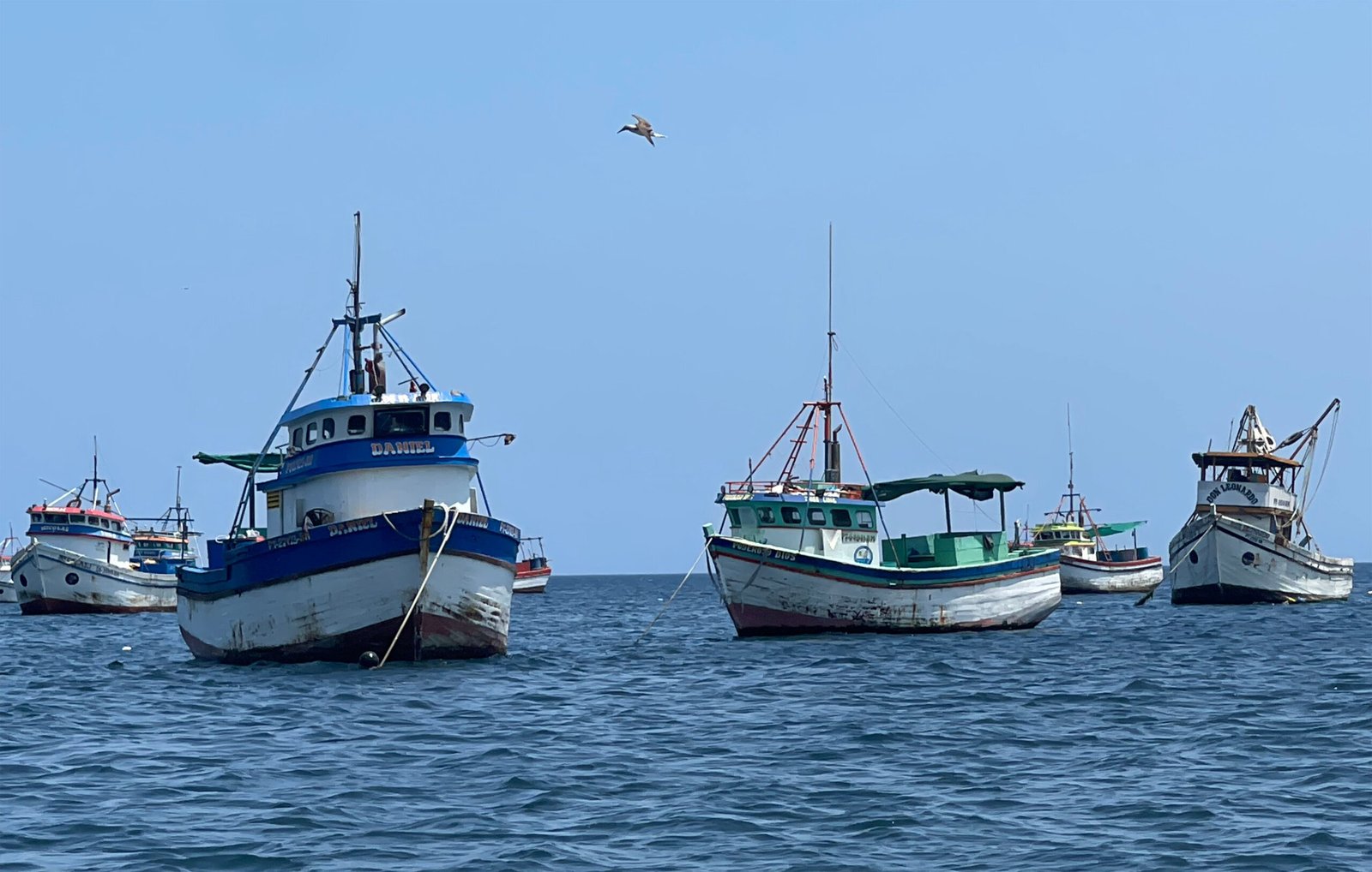 Por la pesca